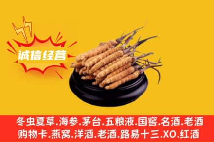 泸定县回收冬虫夏草